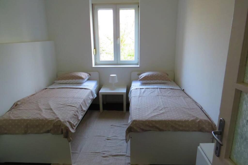 Apartment Lenka